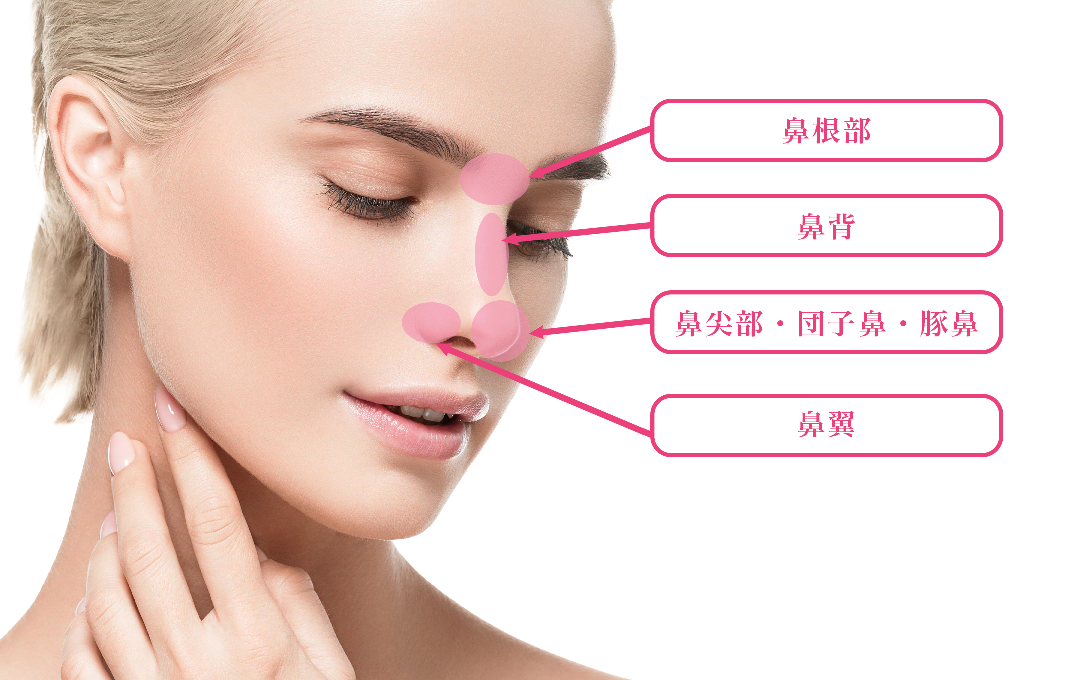鼻の整形全体_素材①