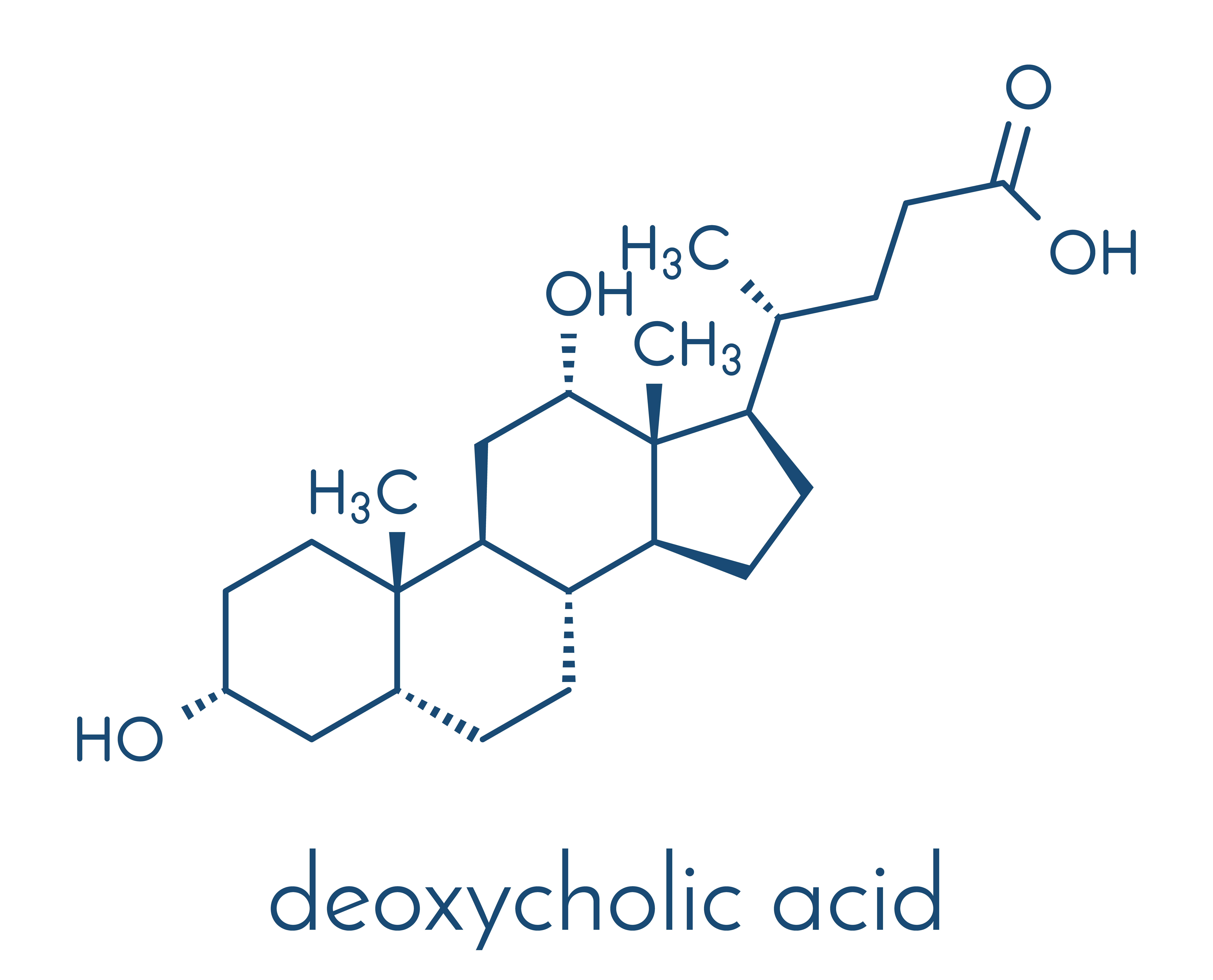 カベリン_素材①