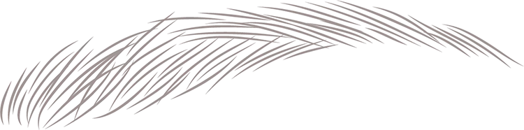 アイブロウ3D(毛並み)画像