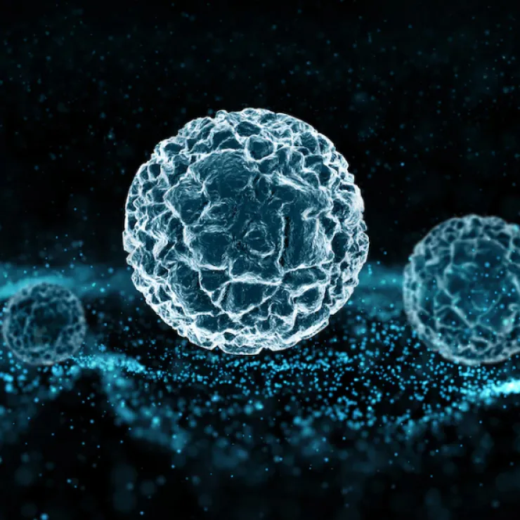 エクソソームイメージ