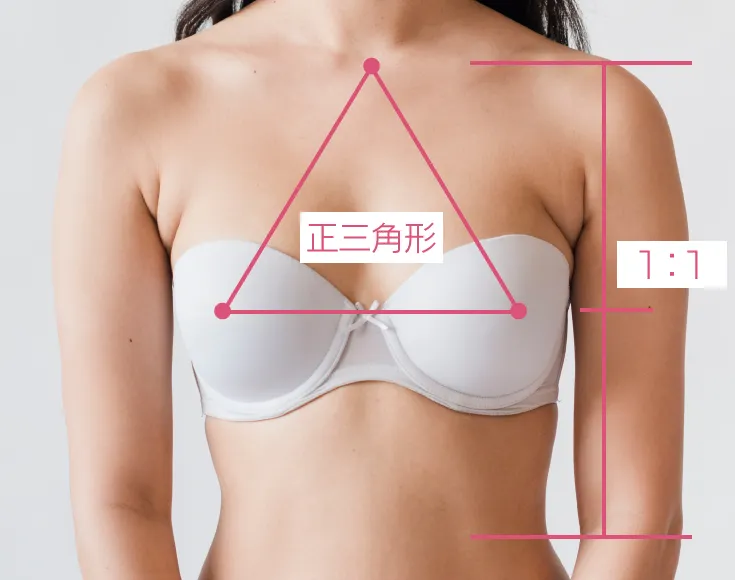 キレイなバストの黄金比