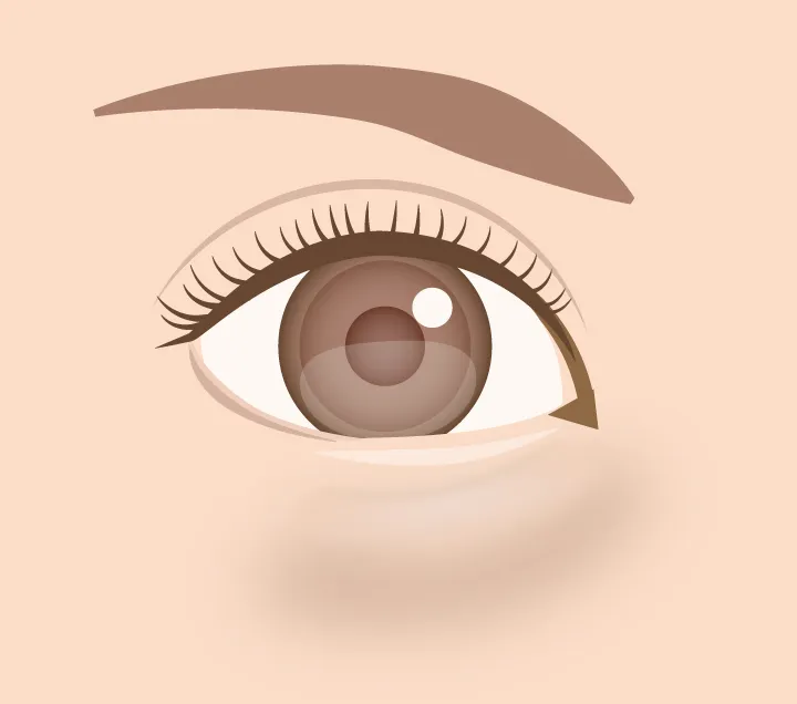 黒クマイラストイメージ