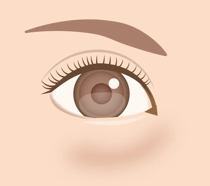 茶クマイラストイメージ