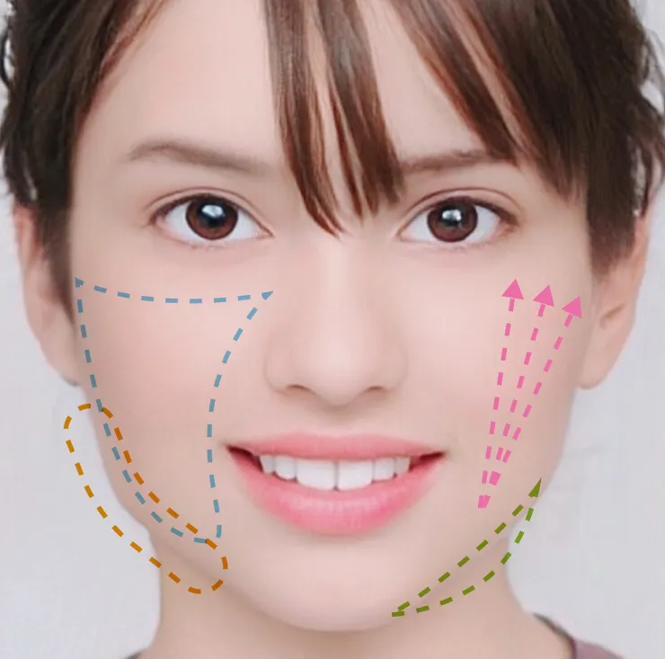 小顔施術の部位