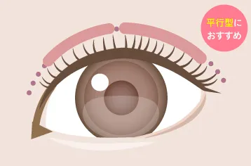 ブリリアント・モア/イメージ画像