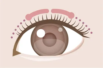 フォルテイメージ画像