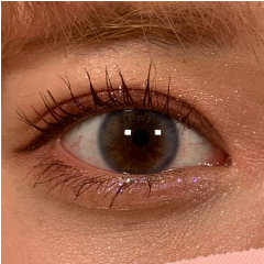 末広型二重画像