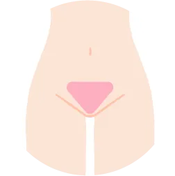 Vラインを示すイラスト