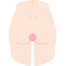 Oラインを示すイラスト