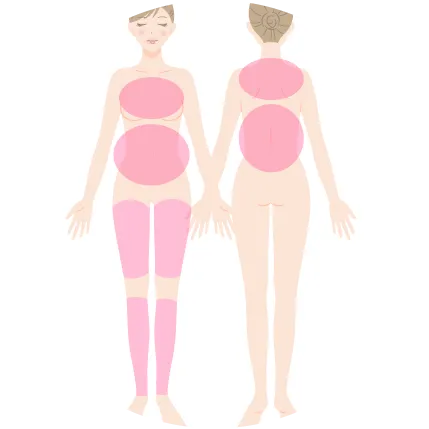 ボディLパーツを示すイラスト