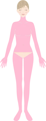 全身コースを示すイラスト前面