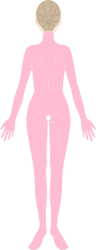 全身コースを示すイラスト背面