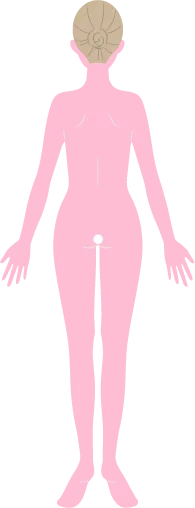 顔あり&VIOなしコースを示すイラスト背面