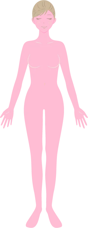 全身フルコースを示すイラスト前面