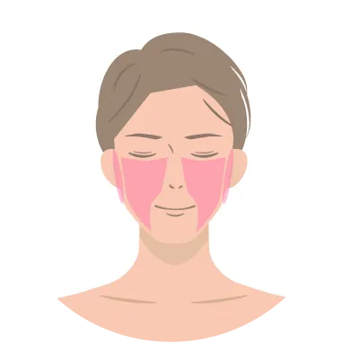 ほほ・もみあげを示すイラスト