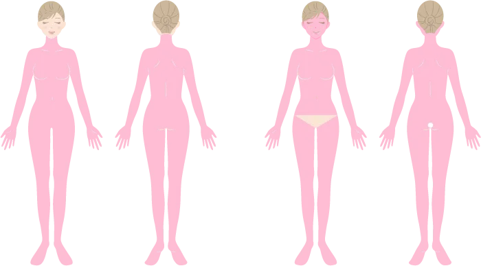 全身を示すイラスト