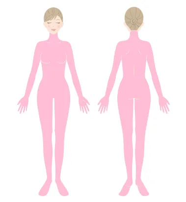 全身を示すイラスト