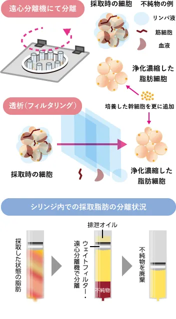 遠心分離機にて分離・透析(フィルタリング)