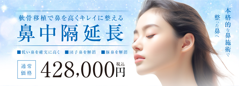 鼻中隔延長術